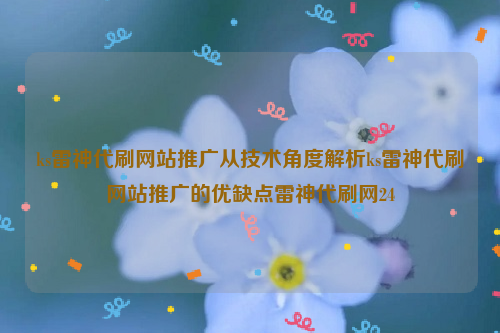 ks雷神代刷网站推广从技术角度解析ks雷神代刷网站推广的优缺点雷神代刷网24