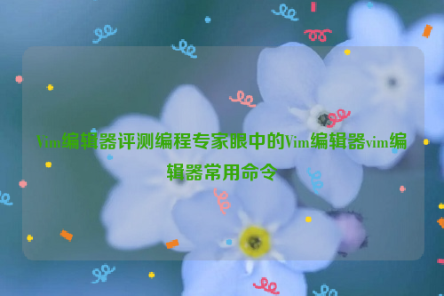 Vim编辑器评测编程专家眼中的Vim编辑器vim编辑器常用命令